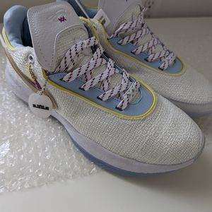 Lebron 20 debut xdr white toe edge sz 10